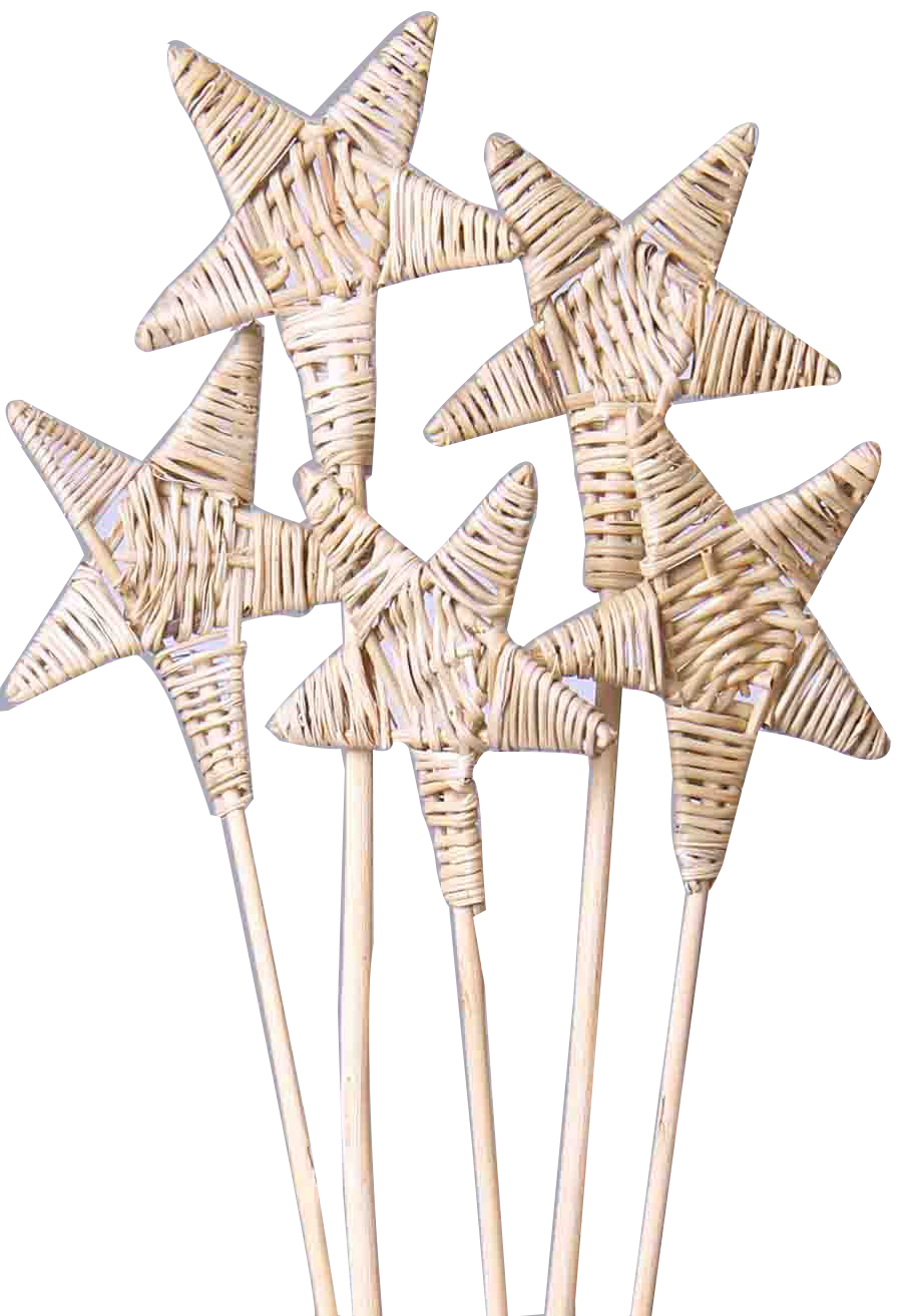 Lata Star Decor