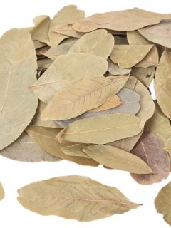Amritha Leaf Natural GDF40016