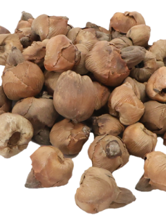 Baby Coco Natural GDF43664