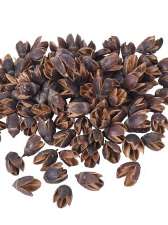 Bakuli Natural GDF40076