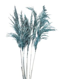 Bamboo Feather Large Blue GDF43732