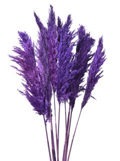 Bamboo Feather Large Purple GDF43733