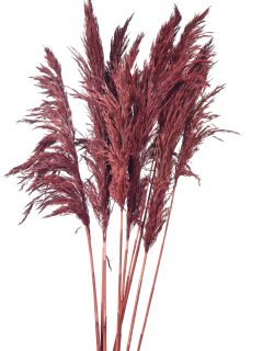 Bamboo Feather Large Wine Red GDF47837