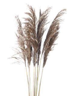 Bamboo Grass Large Natural GDF40107