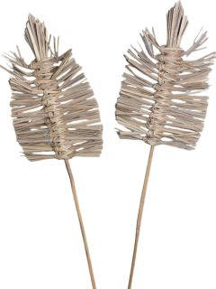 Bamboo Spear Arrow Natural