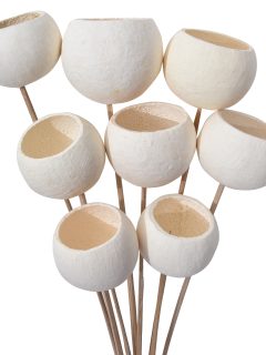 Bell Cup Bleach on Stem GDF40157