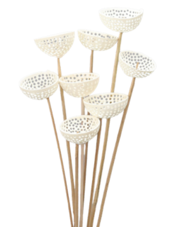Bell Mala Mini Bleach on Stem GDF47753 (1)