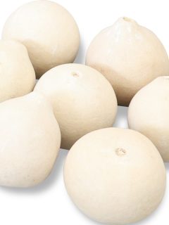 Bellani Large Clean Bleach GDF40202