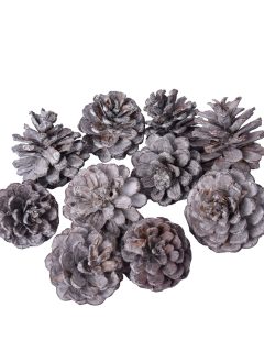 Blue Pine Small White Wash GDF45745