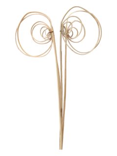 Cane Circle GDF40338