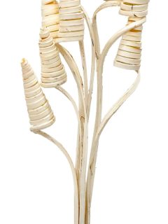 Cane Cone Bleach GDF40348 (2)