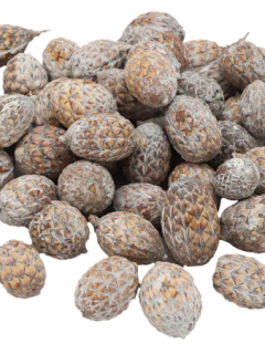 Cane Fruit White Wash GDF46687