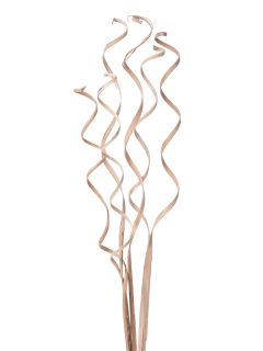 Cane Lazer Natural GDF47857