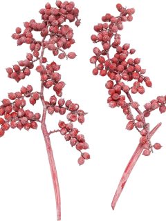 Canella Special Red Frosted GDF47733