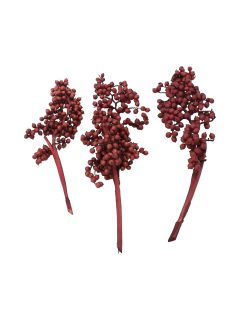 Canella Special Wine Red GDF48290