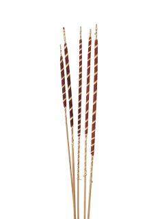 Cattails Stripped Brown