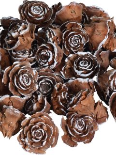 Cedar Rose Mix White Tip GDF48216