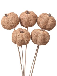 Coir Pumpkin Natural on Stem GDF40562