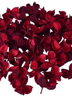 Cotton Pods Red GDF40578