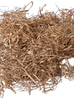 Curly Moss Metallic Gold GDF44282
