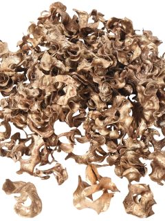 Curly Pod Metallic Gold GDF40605