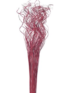 Curly Ting Ting Wine Red GDF42546