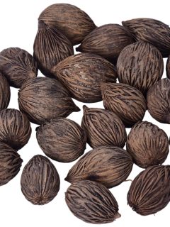 Fibre Pod Natural GDF40640