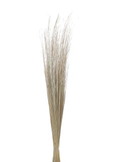 Green Grass Natural GDF40658