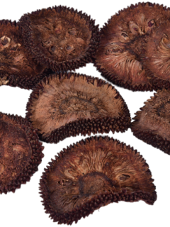 Jack Fruit Slice Natural GDF43044