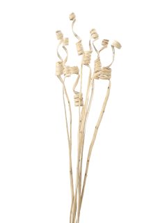 Kambu Spring Natural GDF43207