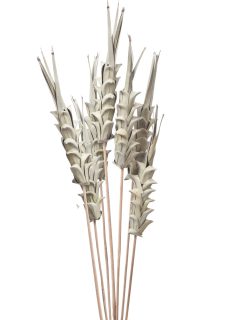 Khejur Pinnapple Natural on Stem