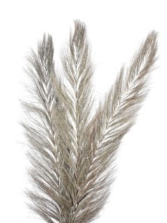 Khejur Sikha Natural GDF40751