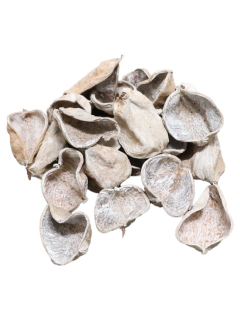 Land Lotus Petal White Wash GDF45174