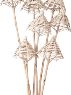 Lata Umbrella Natural On 50 cm Stem