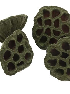 Lotus Pod Velvet Olive