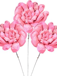 Maize Daliya 10 cm Antique Pink