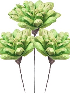 Maize Daliya 10 cm Apple Green