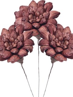 Maize Daliya 10 cm Dark Brown