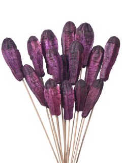 Mehogany Pod Direct Purple on Stem GDF48288