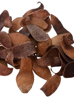 Mehogany Spoon Natural GDF41119