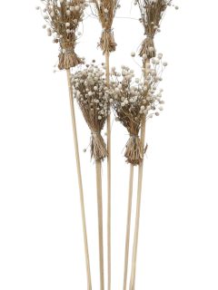 Mini Bottom on Stem GDF48390