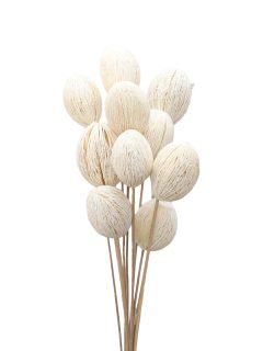 Mintolla Ball Bleach on Stem GDF41128