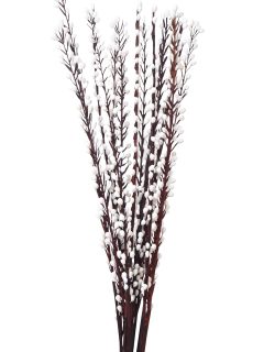 Moti Stick Bleach GDF41143