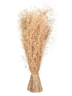 Munny Grass Natural GDF47824