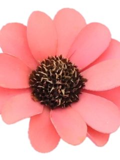 Palm Beli Antique Pink