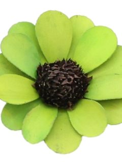 Palm Beli Apple Green