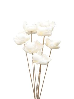 Palm Cap Bleach on Stem GDF41183