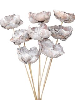 Palm Cap White Wash on Stem GDF42369