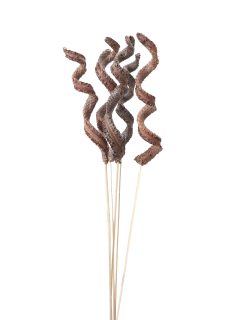 Palm Male Spiral Natural on Stem GDF45403