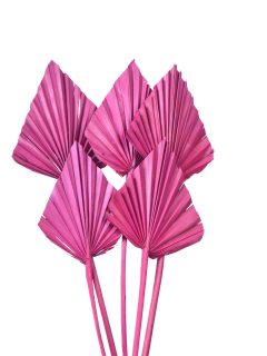 Palm Spear Large Dark Pink GDF41287
